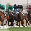 انطلاق حفل سباقات الخيل على ميدان الملك عبدالعزيز
