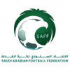 إعادة التحكيم السعودي لقيادة المباريات في المنافسات المحلية