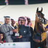 “المعود” يحصد 50% من القاب بطولة مركز الملك عبدالعزيز للخيل العربية