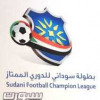 افتتاح النسخة 21من منافسات الدوري السوداني والنحل يتسبب في تأجيل اهم مواجهات