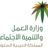 سعوديات في سوق العمل: “الانكشاف المهني” يحد من بطالة المبتعثين ويسهم في دعم التوطين الموجه