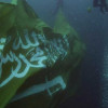 بالفيديو : غواصو المملكة بقيادة “الحوت الأزرق” يرفعون أكبر علم بمناسبة اليوم الوطني