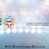 (أنا أحترم حقوق الملكية الفكرية) شعار الجولة 25 من دوري الأمير محمد بن سلمان للمحترفين