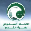 أندية الدوري تؤجل تجديد عقود الأجانب