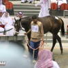 463 مهراً في مزاد نادي سباقات الخيل بالجنادرية الرياض
