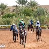 نادي سباقات الخيل يعلن القائمة النهائية لمهرجان كؤوس الملوك