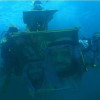 من تحت مياه البحر الأحمر: فريق الغوص يحتفل باليوم الوطني ٩١