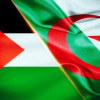 الجزائر تعلق جميع المسابقات تضامنًا مع فلسطين