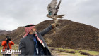 نادي الصقور السعودي ينفذ المرحلة الأولى للإطلاق الخارجي في قرغيزستان
