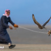 الفائزون بأشواط كأس العلا للصقور: أجواء العلا المعتدلة ساعدت الصقور على التألق