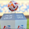 خارطة بث الدوري السعودي للمحترفين.. هل تنتقل الحقوق الفضائية إلى “روتانا”؟