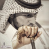 عبدالله بن فهد يشرب “فنجال ” الفروسية