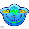 الاتحاد العربي للرياضات الجوية : ربط رخص الطيران الخفيف بالـ”PPL” مخالفة دولية