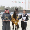 الفروسية السعودية تعانق الامجاد في قطر