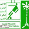 الاتحاد السعودي يحيل مخالفات جديدة في نهائي كأس الملك للجنة الانضباط