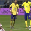 أهداف لقاء النصر و الفتح