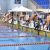 الرياض تستضيف بطولة سباحة الزعانف بسبع مراحل