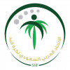 الاتحاد السعودي لكرة اليد يعقد ورشة عمل مع الأندية والمهتمين باللعبة لمناقشة نظام المسابقات المحلية وطريقة تنظيمها الموسم القادم