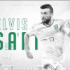 الاهلي يعلن التعاقد مع البوسني ساريتش