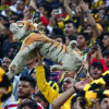 الاتحاد يرفض الاستسلام في صراع الهبوط