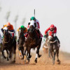 تبسيط البسيط لـ “هانديكاب” سباقات الخيل