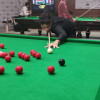 بطولة العالم للسنوكر: العمري في المركز الخامس
