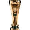 الاتحاد السعودي يدشن الكأس الجديدة من أغلى الكؤوس