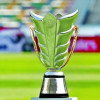 الإمارات تطلب استضافة كأس آسيا