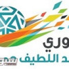 السعودية تمنع أي قناة من تشفير دوري المحترفين لكرة القدم