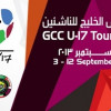 قطر تنهي استعداداتها لاستضافة كأس الخليج للناشئين